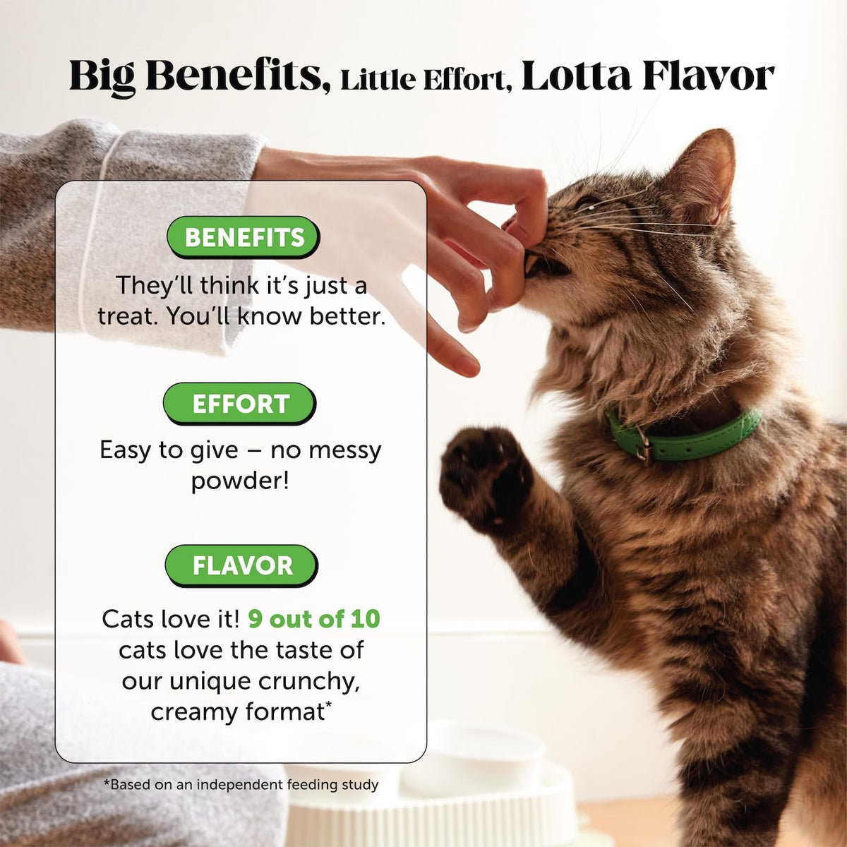 Pet Honesty Cat Hairball Support Chews | Hairball Control & Digestion