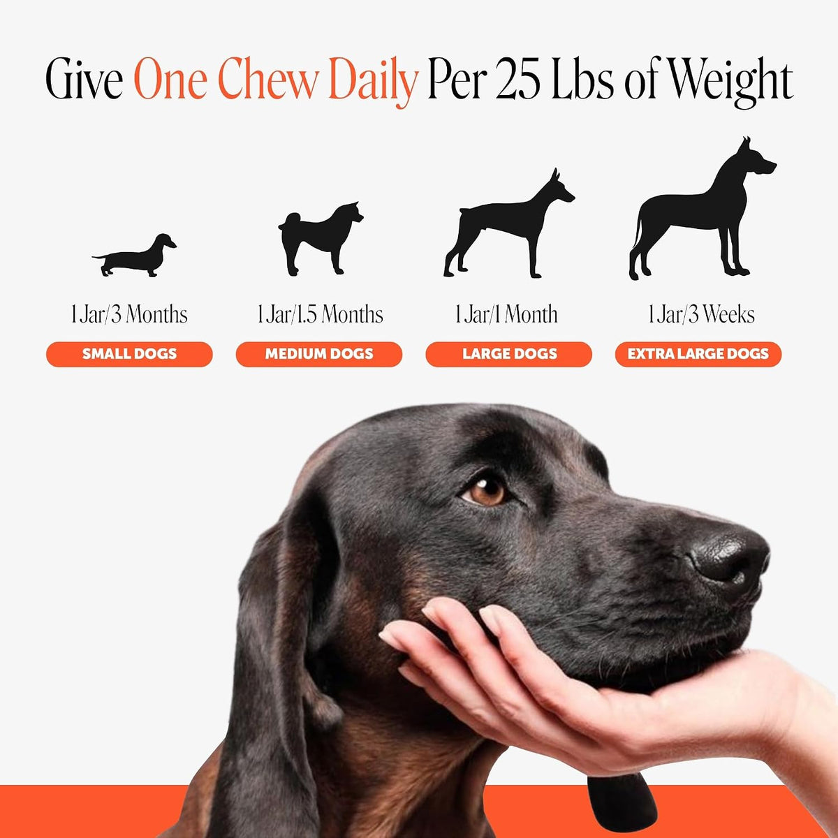 PetHonesty Glucosamine Chondroitin Joint Support Chews for Dogs – 90 Count