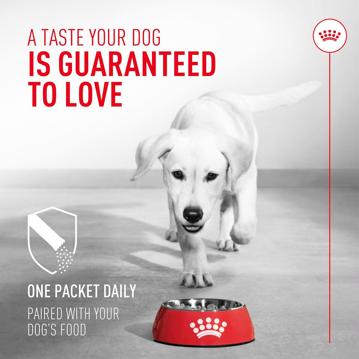 Royal Canin Probiotics for Dogs Digestive & Immune Health Powder Supplement 30 Count