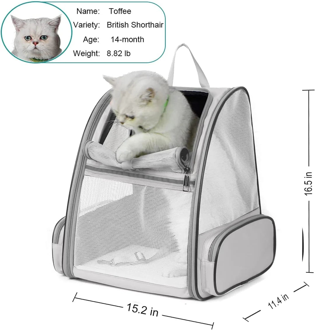 Cat Carrier Backpack with Transparent Hard Window | Pet Travel Backpack