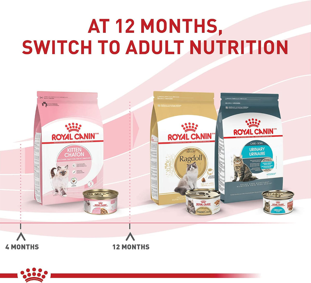 Royal Canin Kitten "Feline Thin Slices in Gravy Wet Cat Food 24 x 3oz"