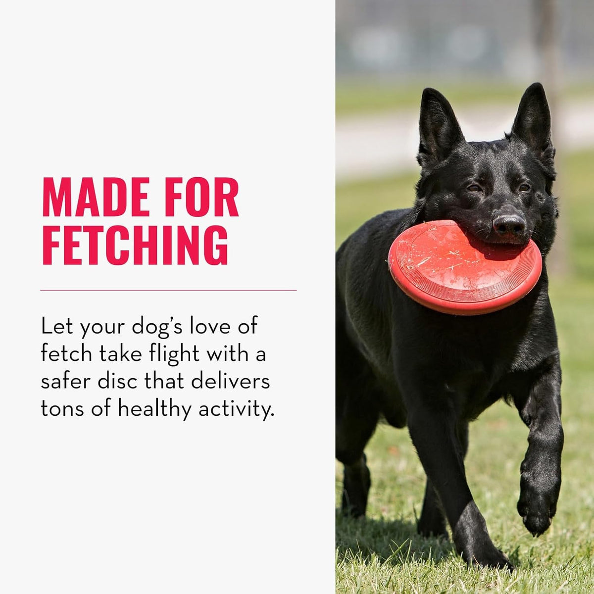 KONG Durable Natural Rubber Flying Disc Toy for Large Dogs