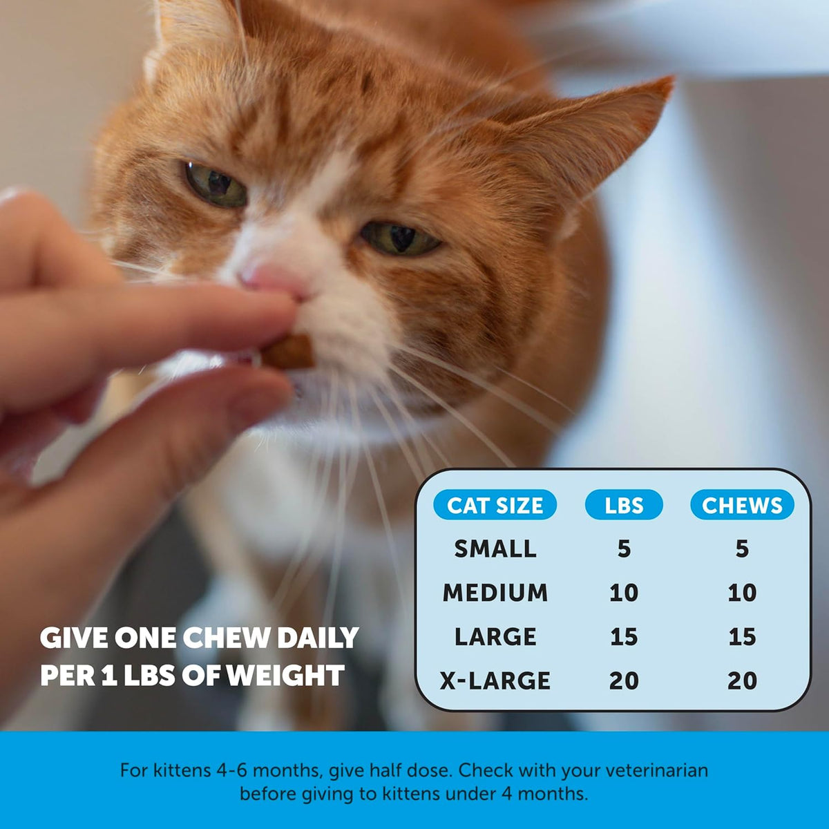 Pet Honesty Omega 3 Cat Skin & Coat Supplement Crunchy & Creamy Chews