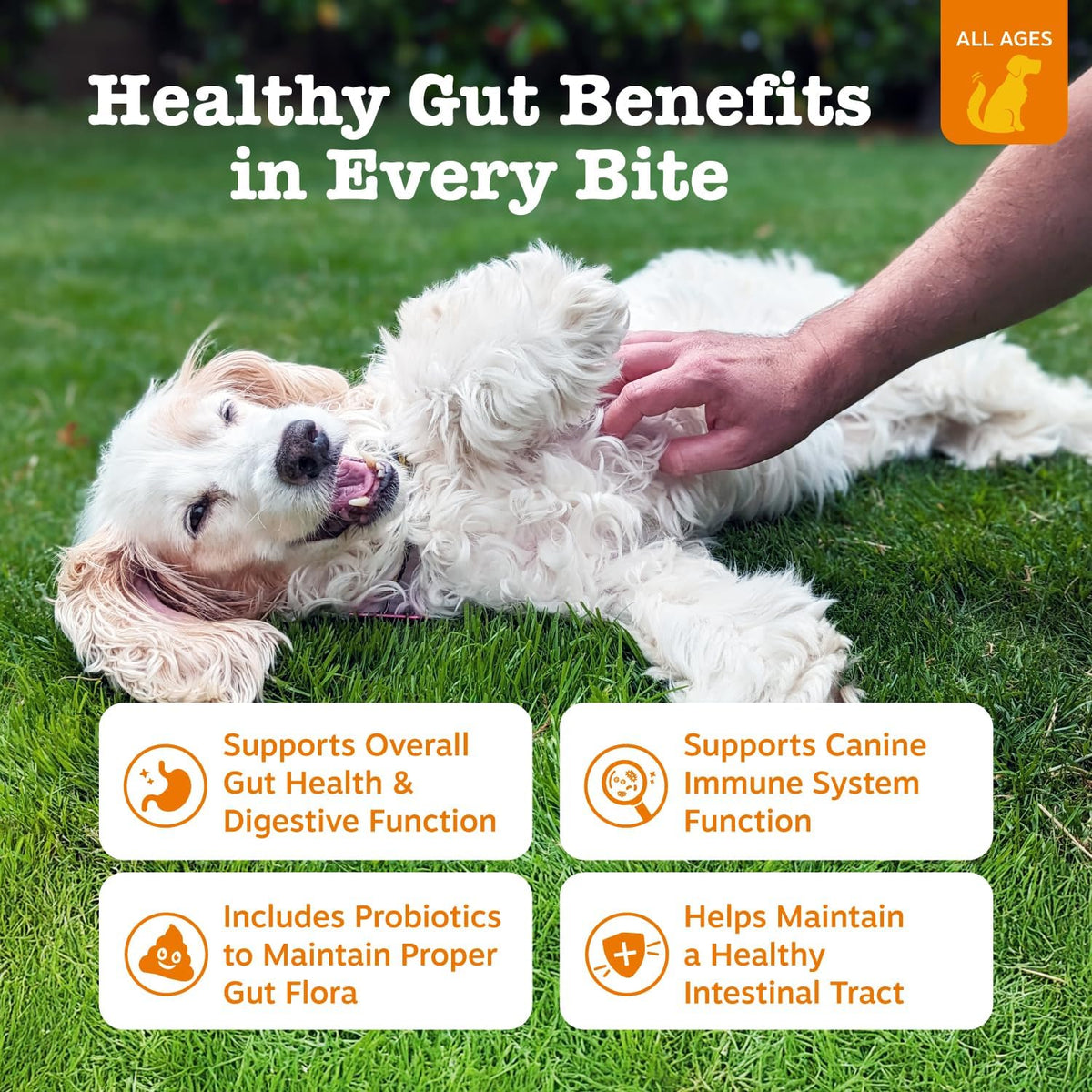 Zesty Paws Probiotic Bites pumpkin Flavor 90 count for Dogs Digestive & Gut Health