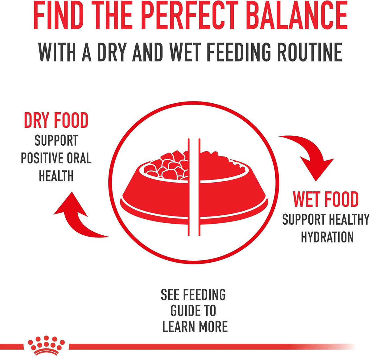 Royal Canin Chihuahua Adult Wet Dog Food Loaf in Sauce 3oz x 6 Pack