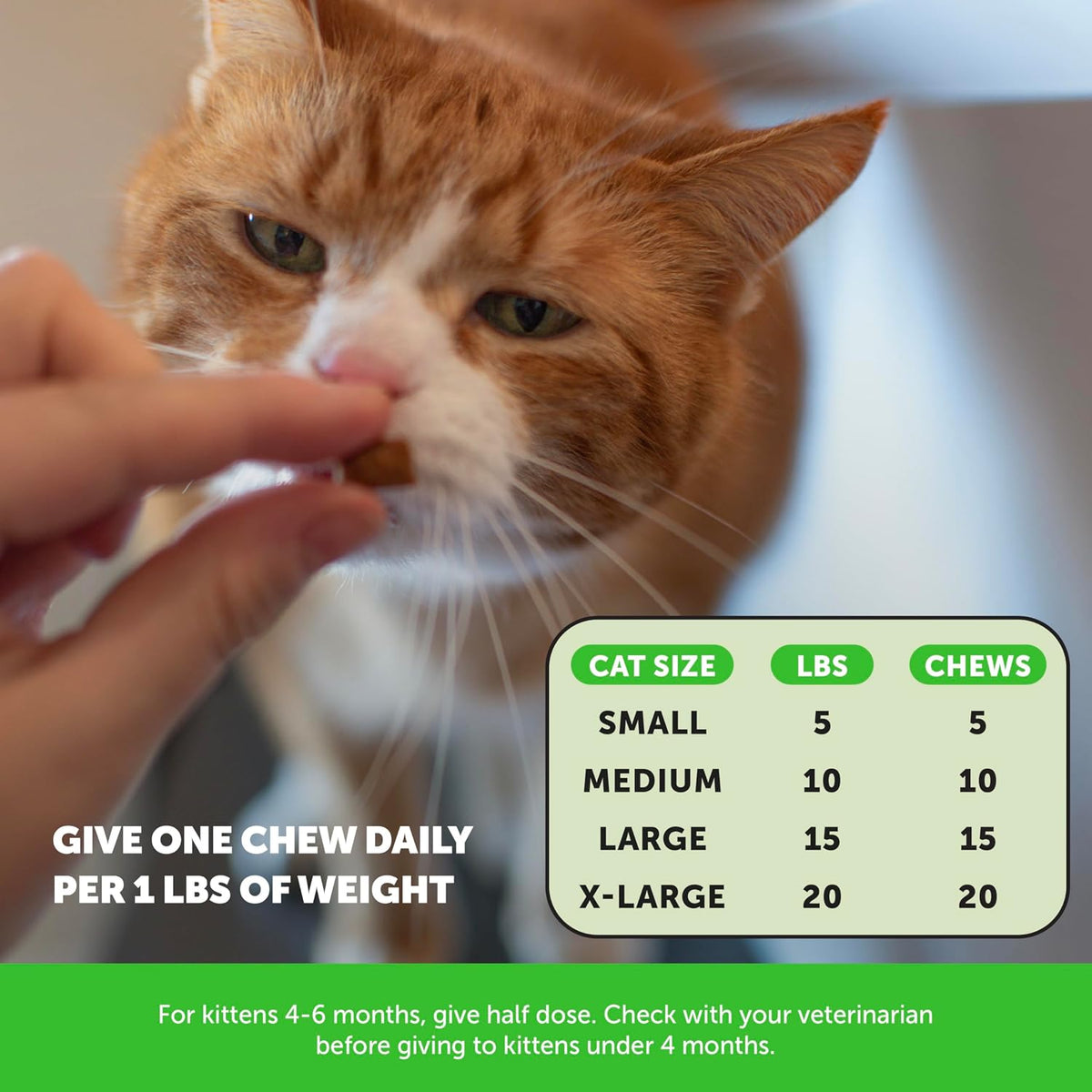 Pet Honesty Cat Hairball Support Chews | Hairball Control & Digestion