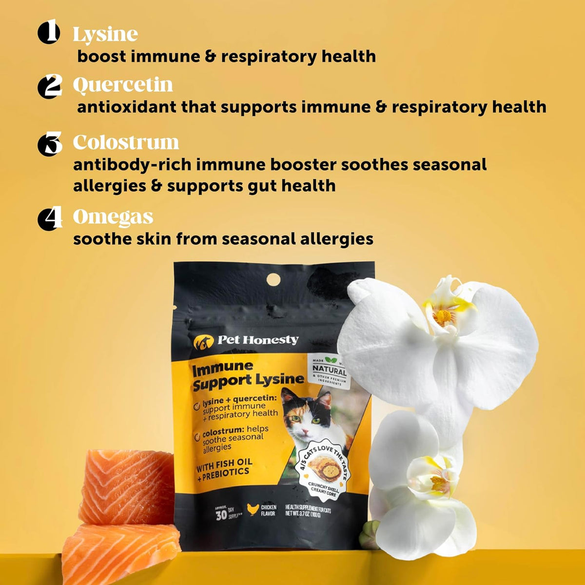 Pet Honesty Cat Immune Support Lysine Chews – Allergy Relief & Immune Health