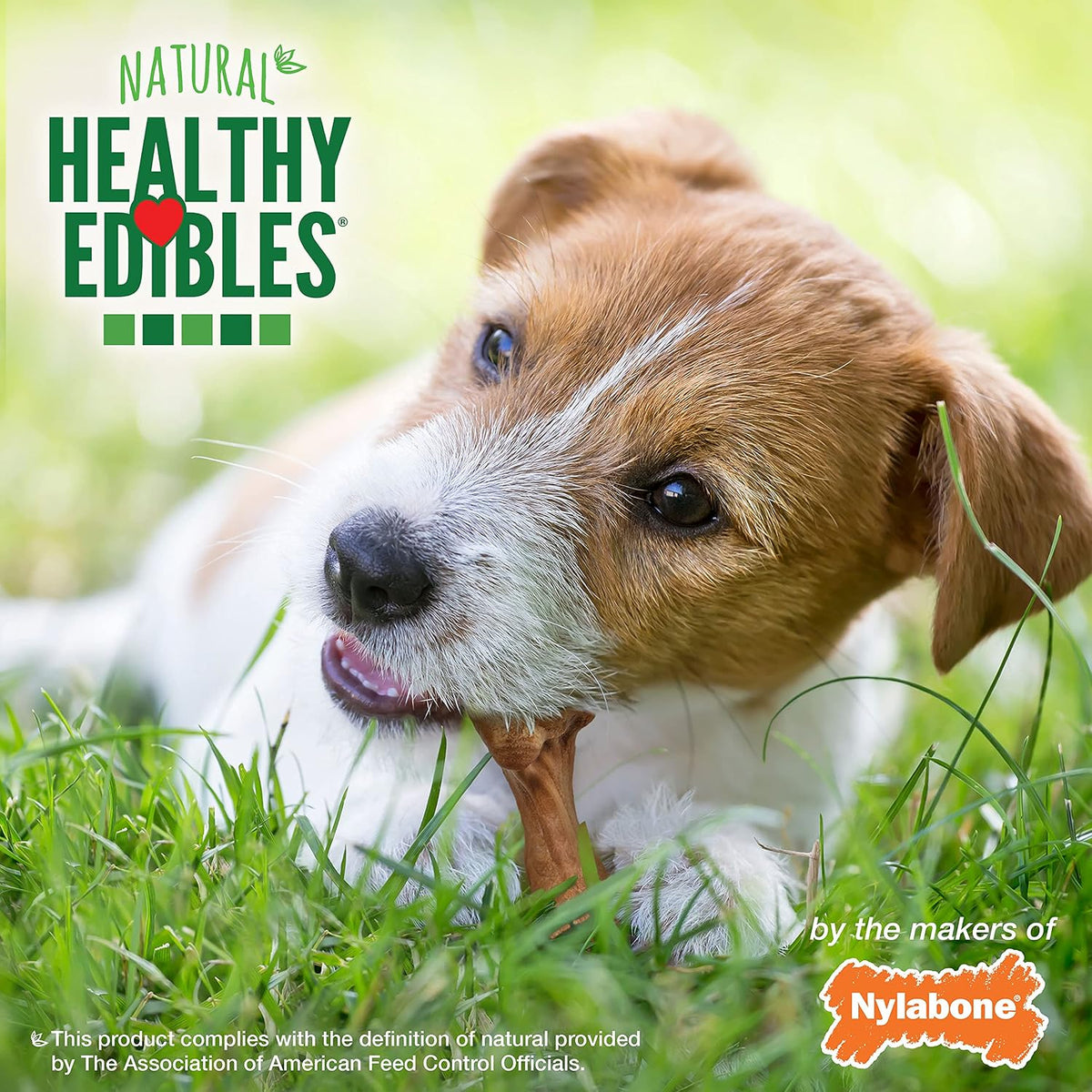 Nylabone Healthy Edibles Wild Bison Natural Dog Treats Small 16 Count