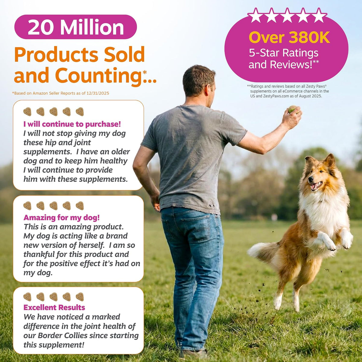 Premium Joint Support Chews for Dogs Abu Dhabi UAE