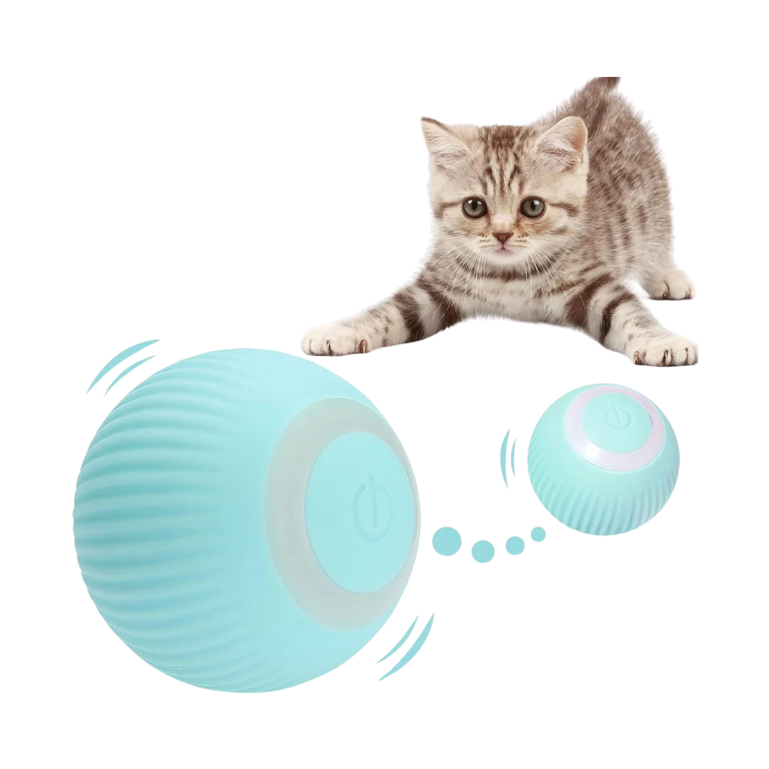 360° Rotating Interactive Cat Toy Ball with LED Lights