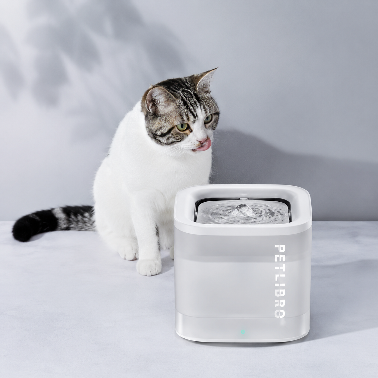Why Pet Owners Love PETKIT Products