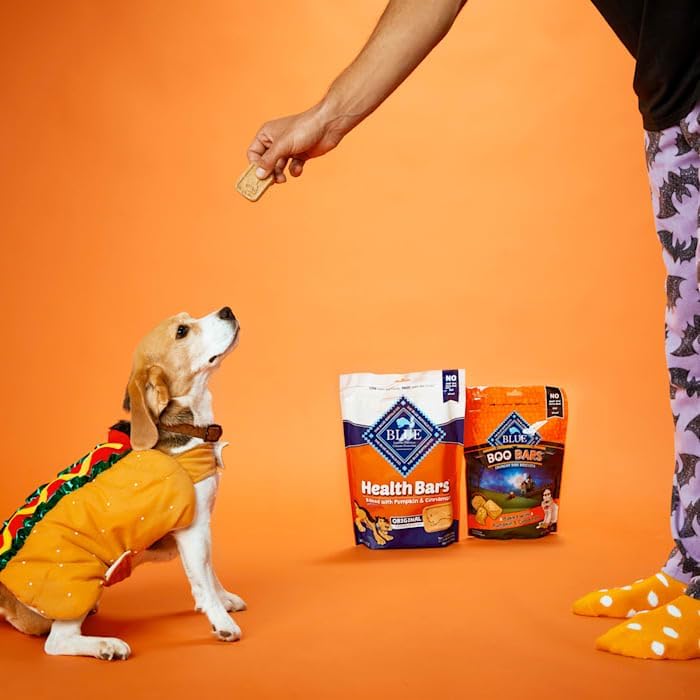 Blue Buffalo Health Bars Pumpkin & Cinnamon Oven-Baked Dog Biscuits 16 oz