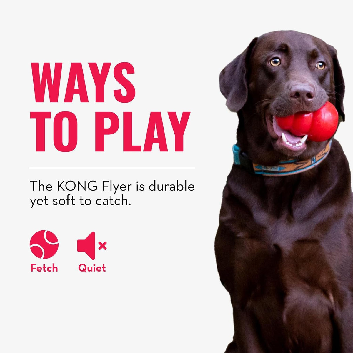 KONG Durable Natural Rubber Flying Disc Toy for Large Dogs