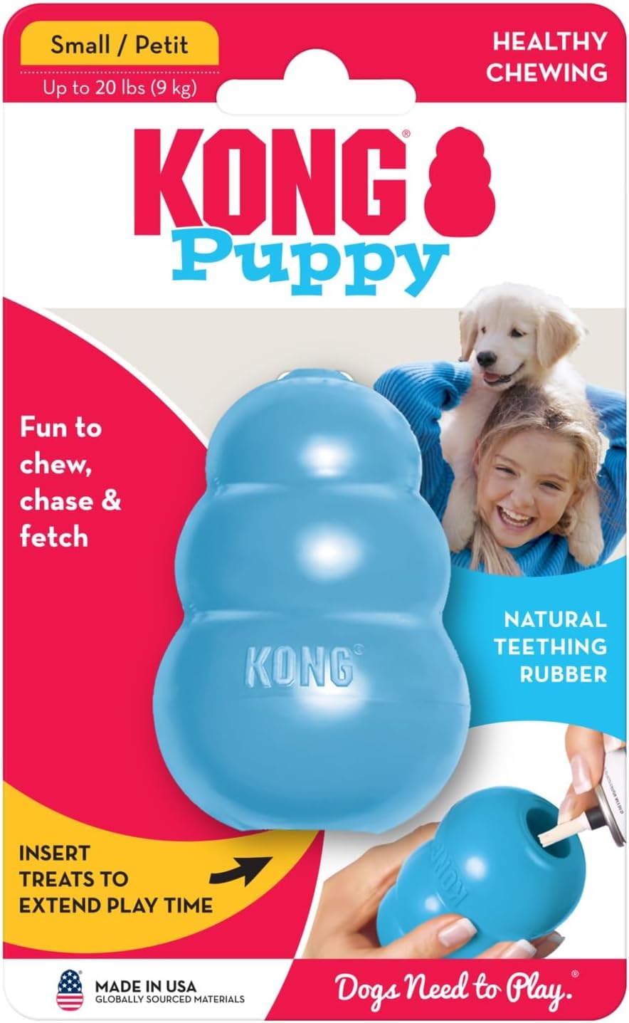 KONG Gentle Natural Rubber Teething "Toy Blue For Small Dog"