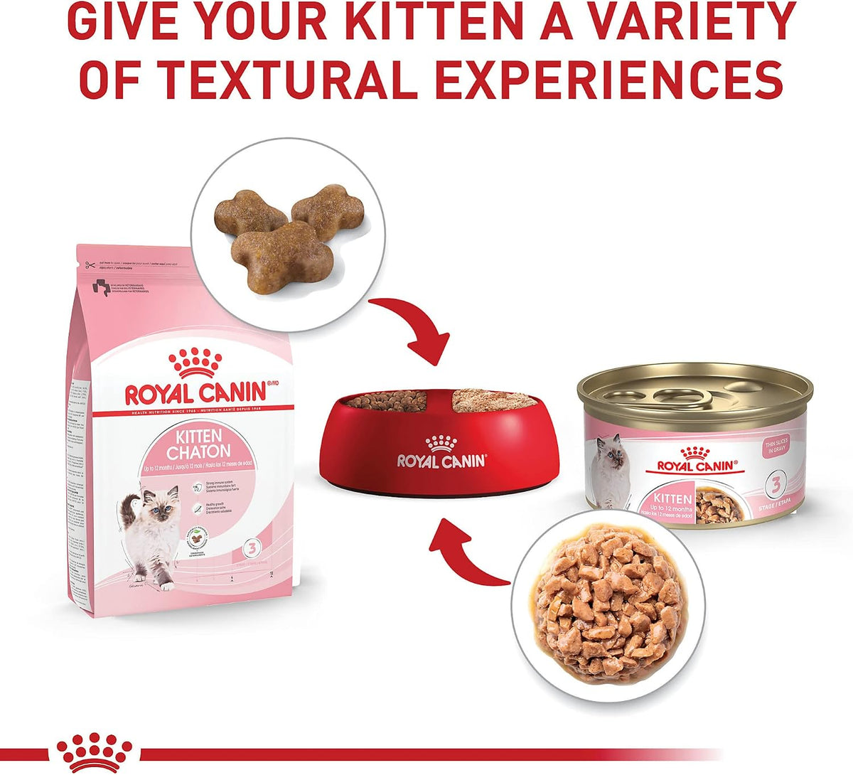 Royal Canin "Kitten" Thin Slices in Gravy Wet Cat Food 12 x 3oz