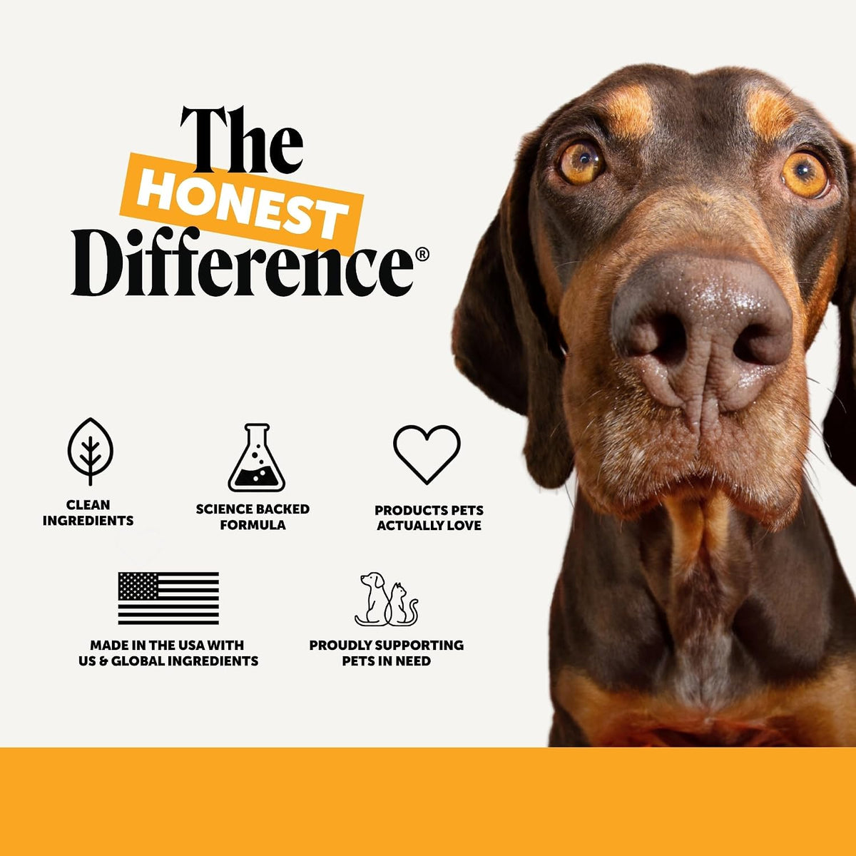 PetHonesty Allergy Relief & Immunity Soft Chews for Dogs with Salmon Oil