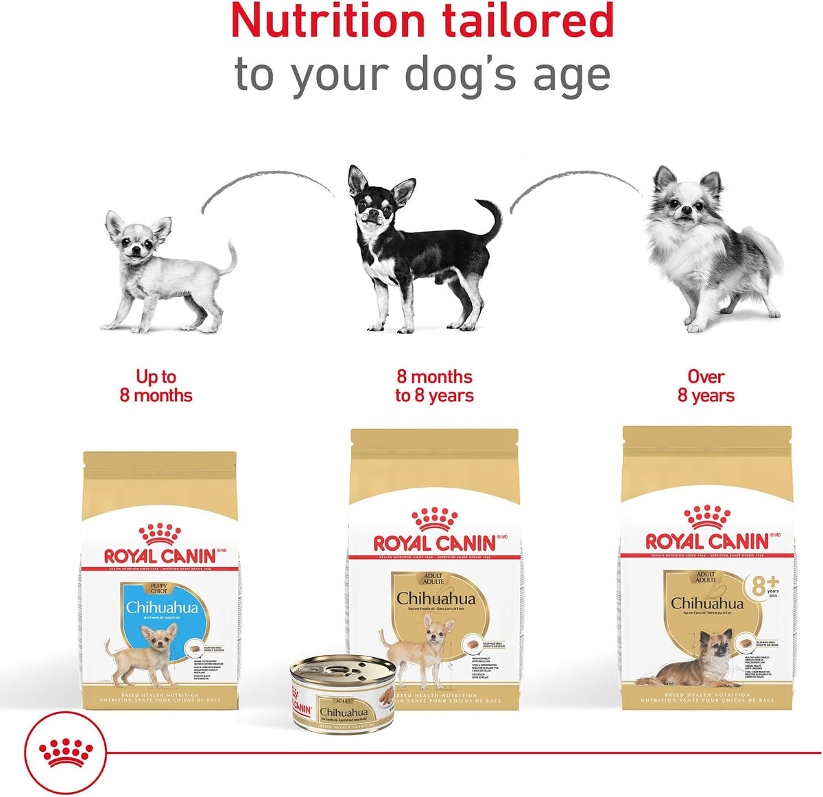 Royal Canin Chihuahua Adult Wet Dog Food Loaf in Sauce 3oz x 6 Pack