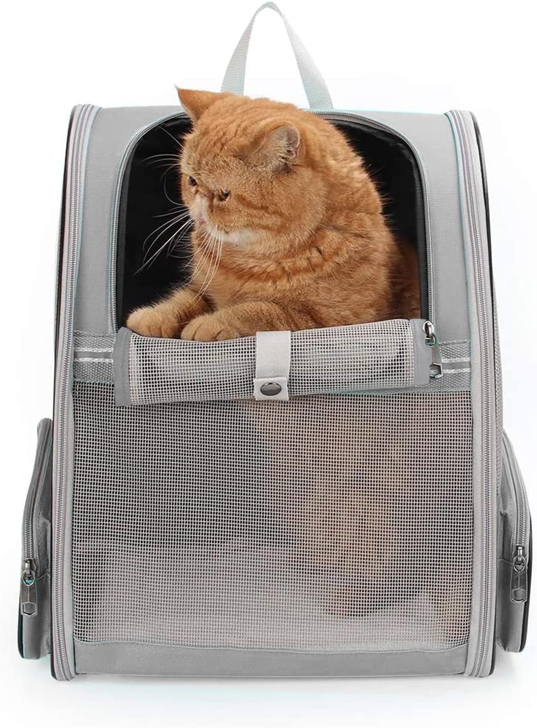 Cat Carrier Backpack with Transparent Hard Window | Pet Travel Backpack