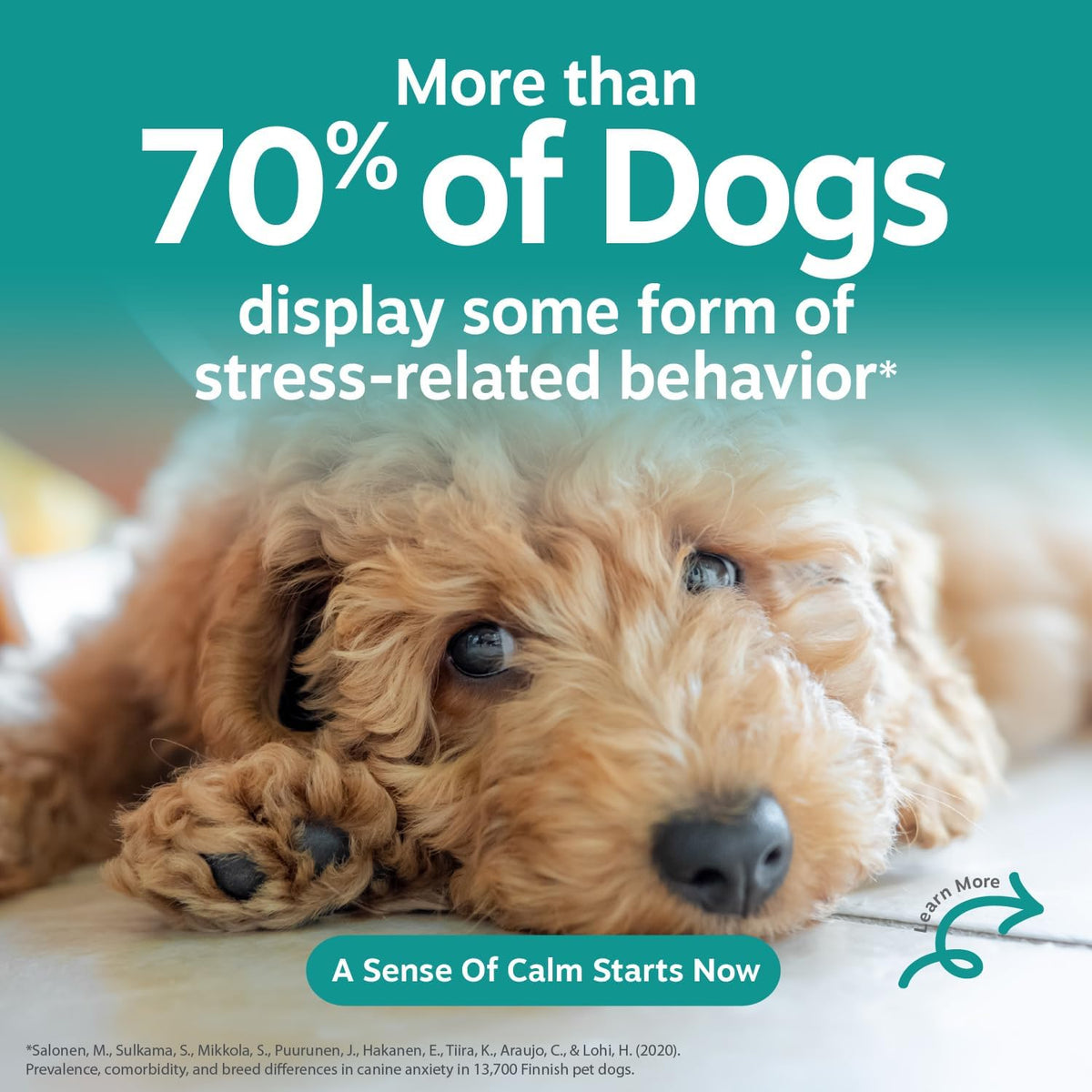 Natural Dog Calming Supplements Abu Dhabi