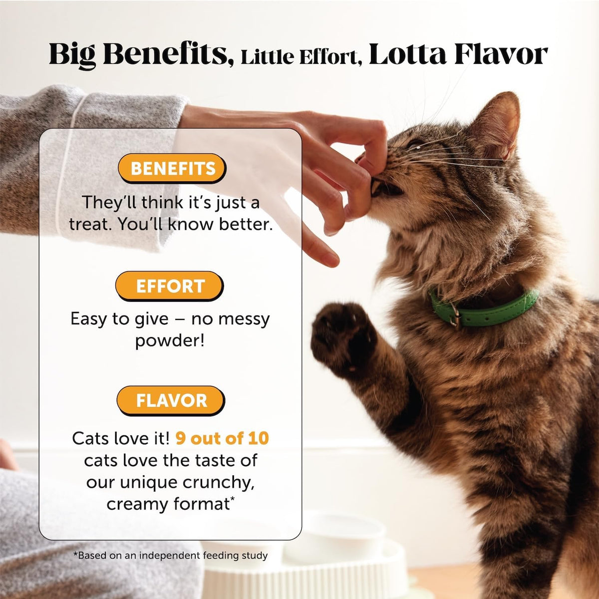 Pet Honesty Cat Immune Support Lysine Chews – Allergy Relief & Immune Health