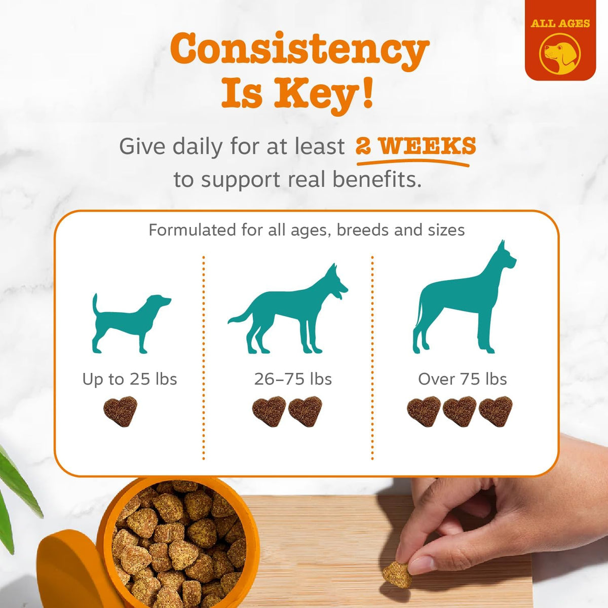 Dog Relaxation Supplements UAE
