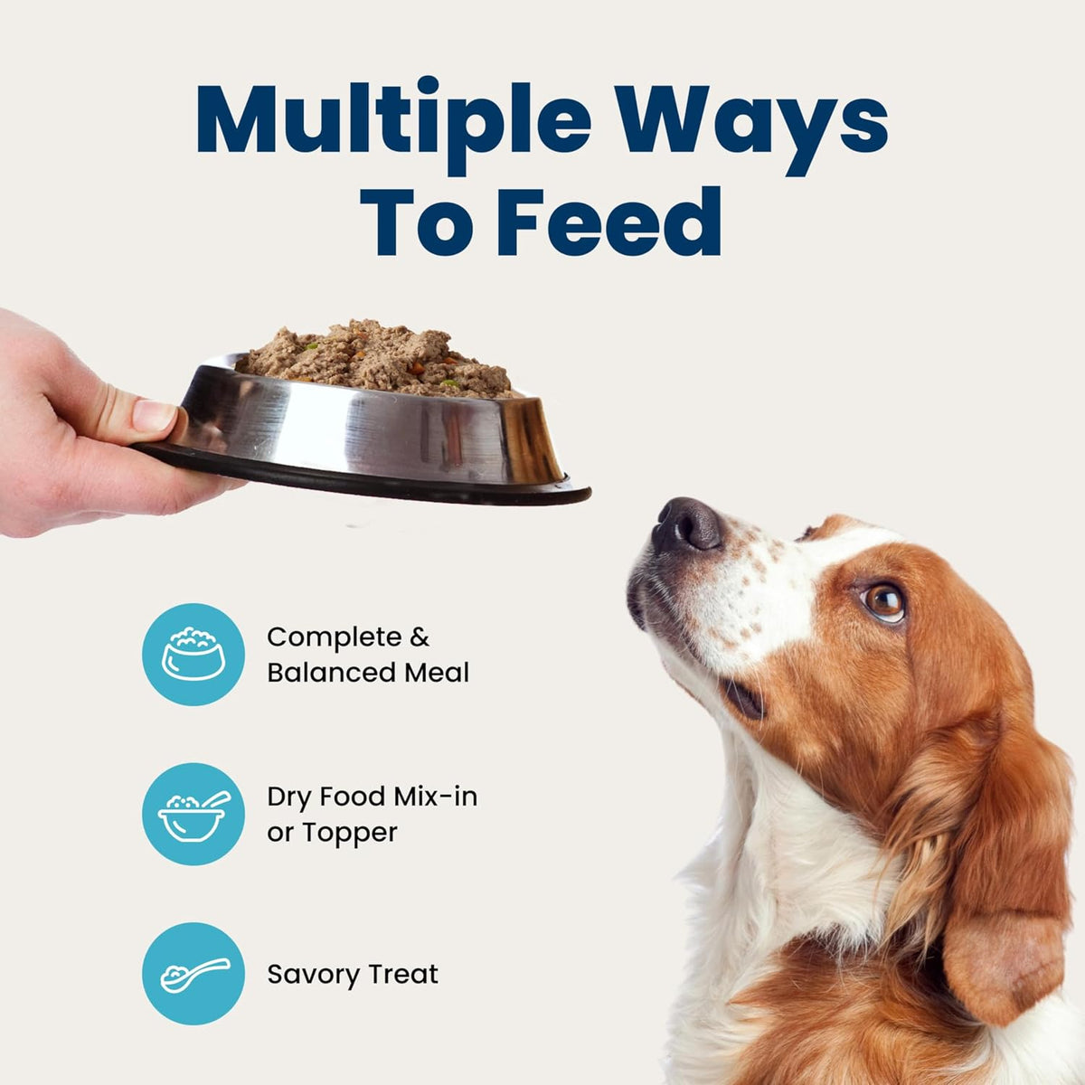 Blue Buffalo Chicken & Beef Wet Dog Food Variety 12.5 oz 6 Pack