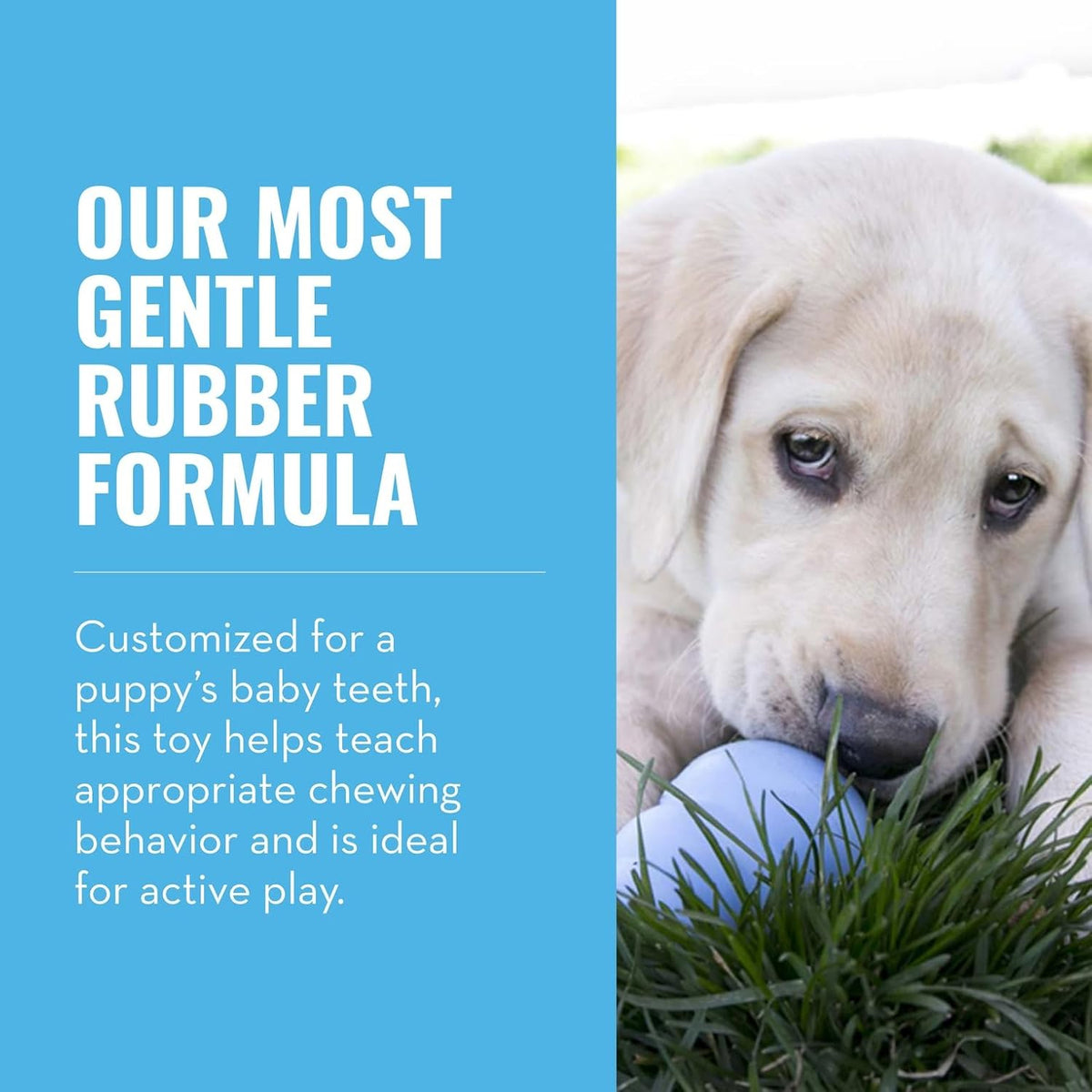 KONG Gentle Natural Rubber Teething "Toy Blue For Small Dog"