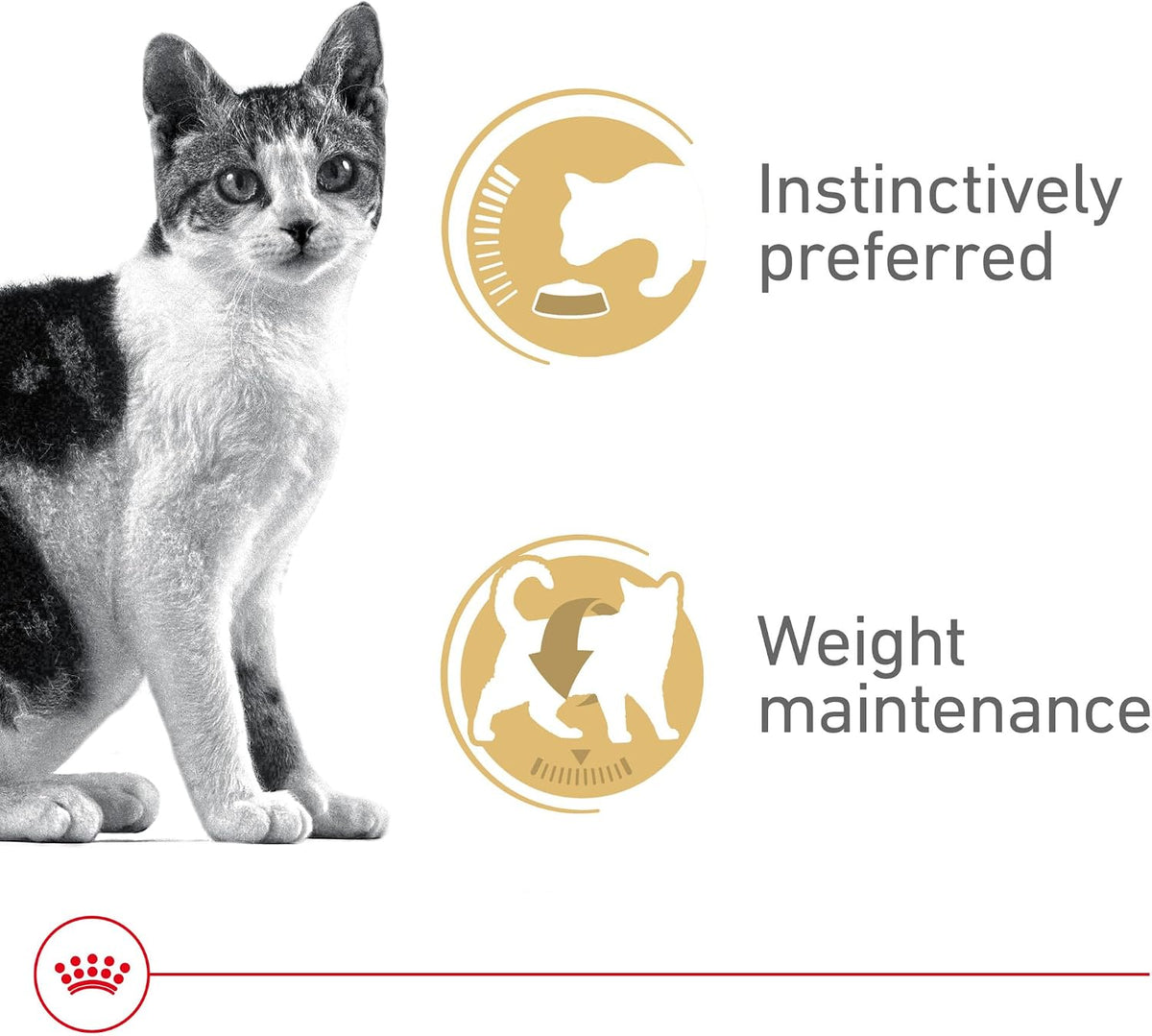 Royal Canin Adult Instinctive Thin Slices in Gravy Cat Food 3 oz – Pack of 24