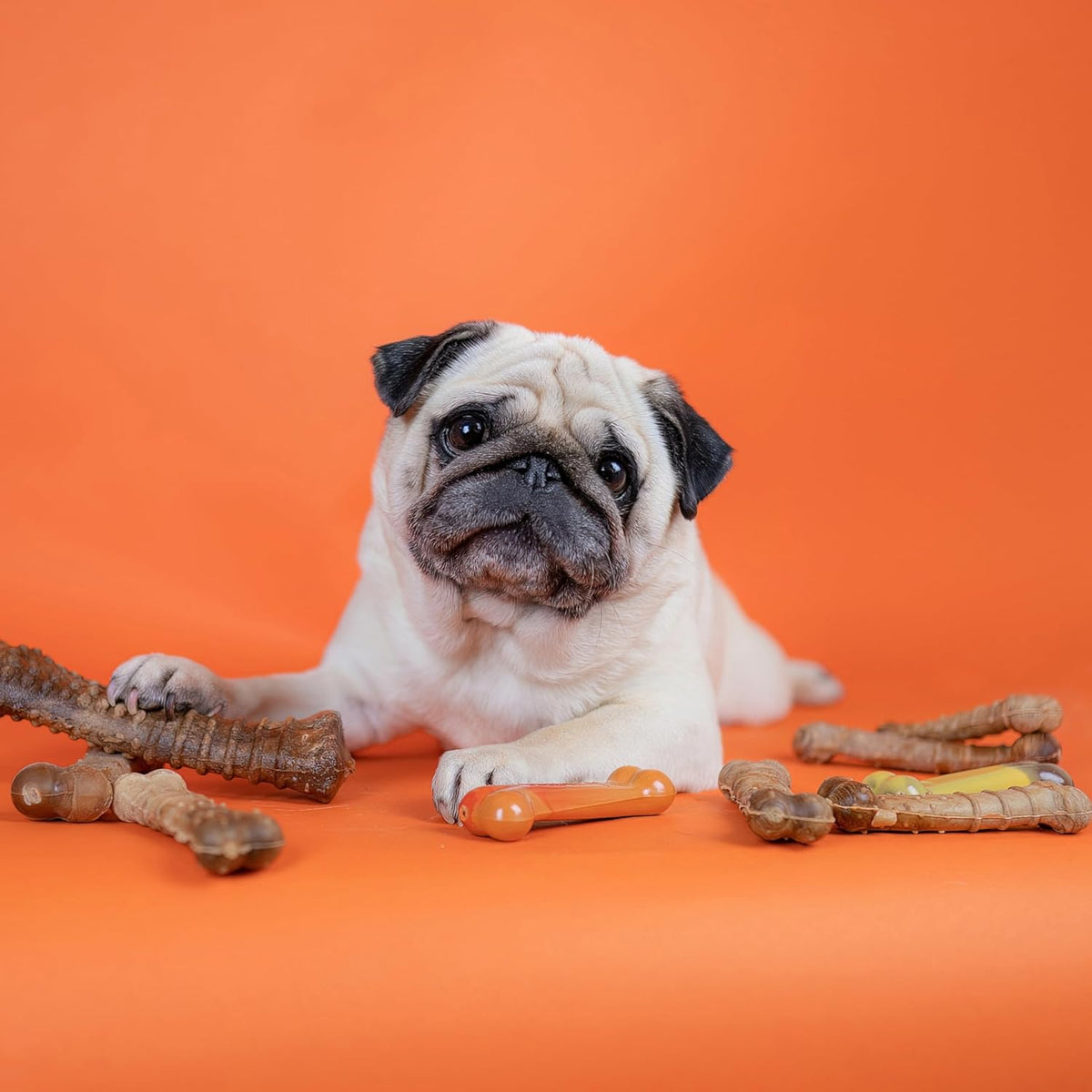 Nylabone Healthy Edibles Roast Beef Dog Chews Medium Wolf 2 Count