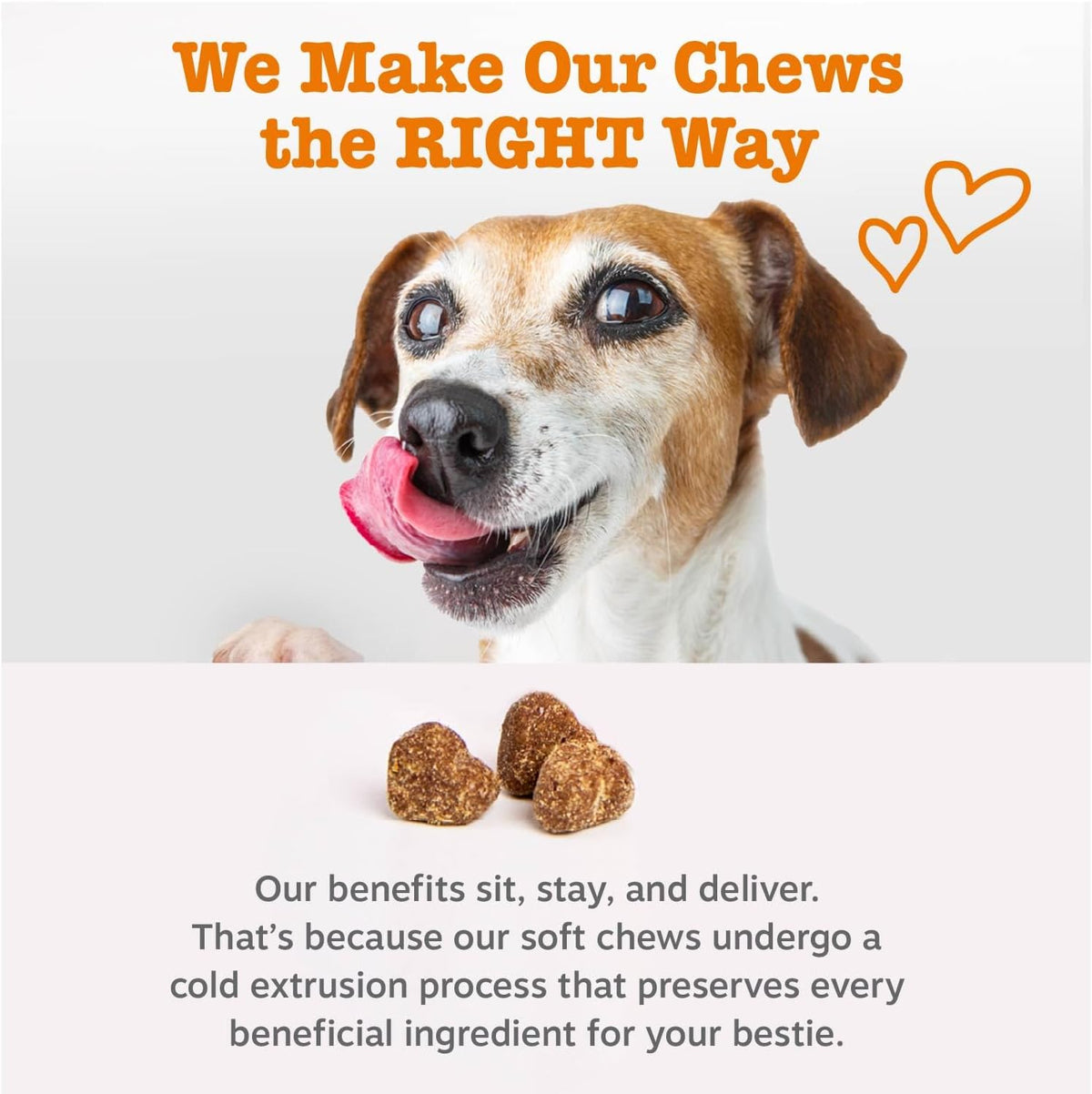 Zesty Paws Probiotic Bites pumpkin Flavor 90 count for Dogs Digestive & Gut Health