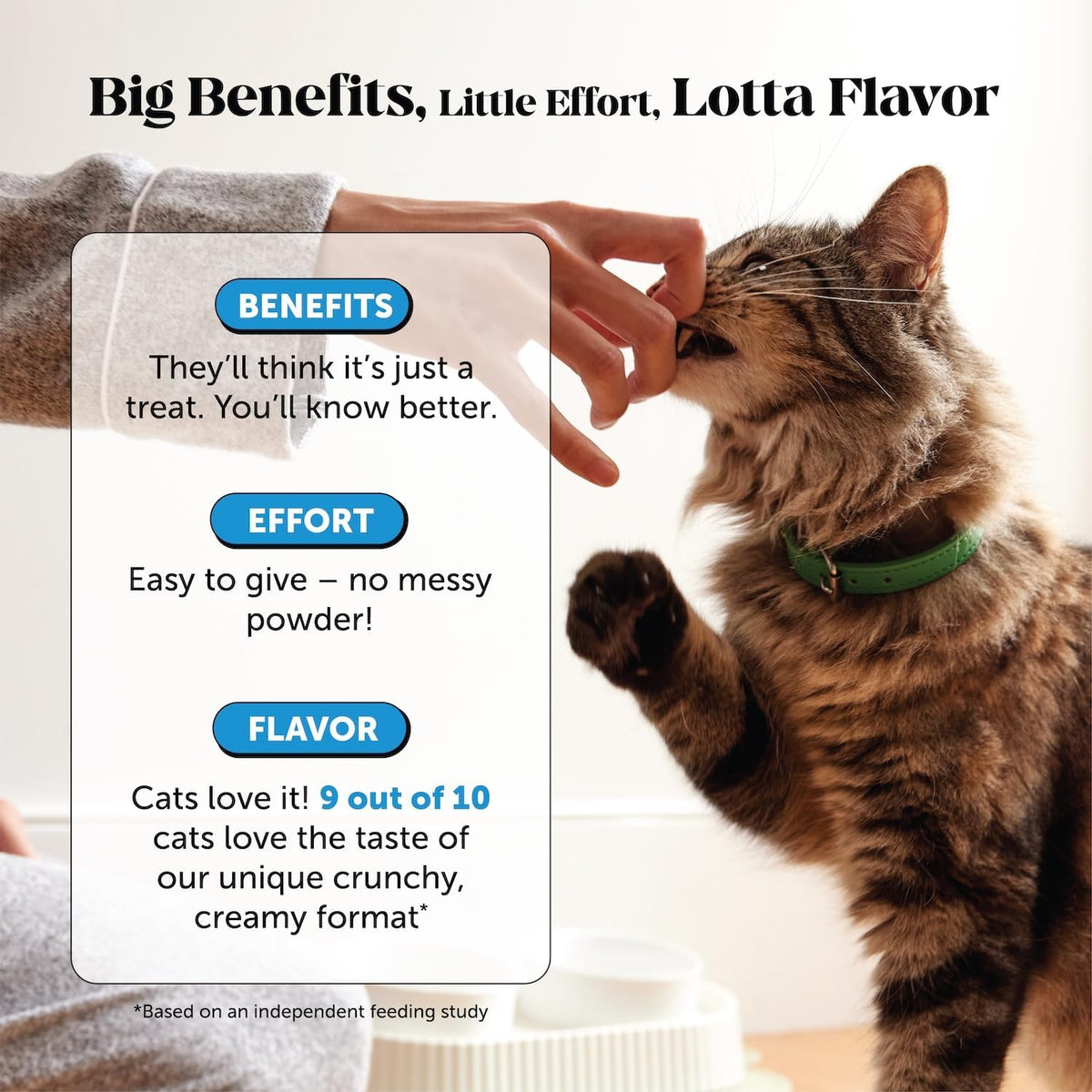 Pet Honesty Omega 3 Cat Skin & Coat Supplement Crunchy & Creamy Chews