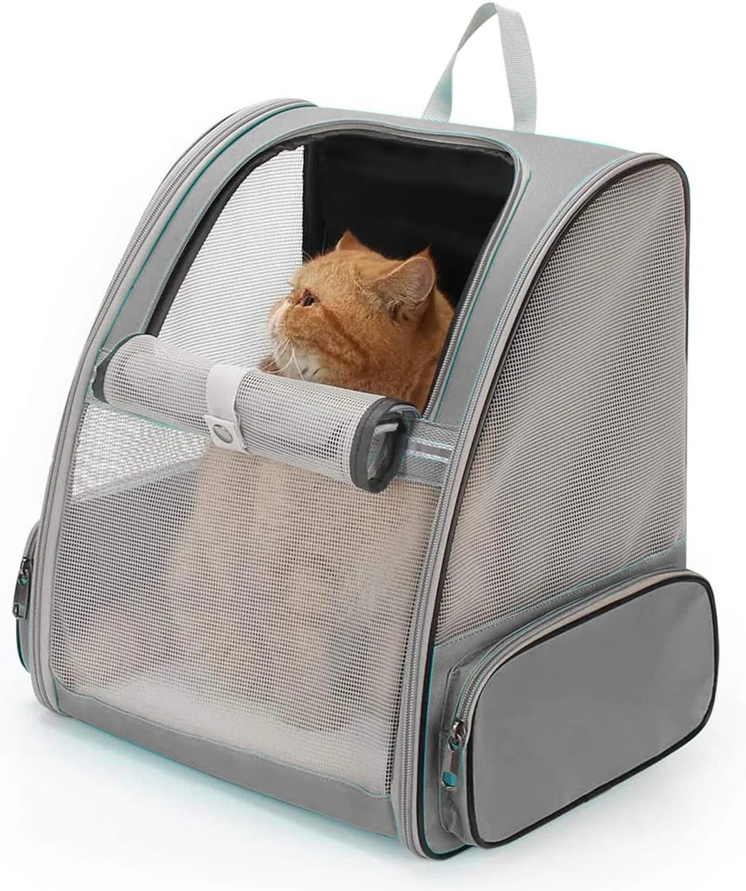 Cat Carrier Backpack with Transparent Hard Window | Pet Travel Backpack