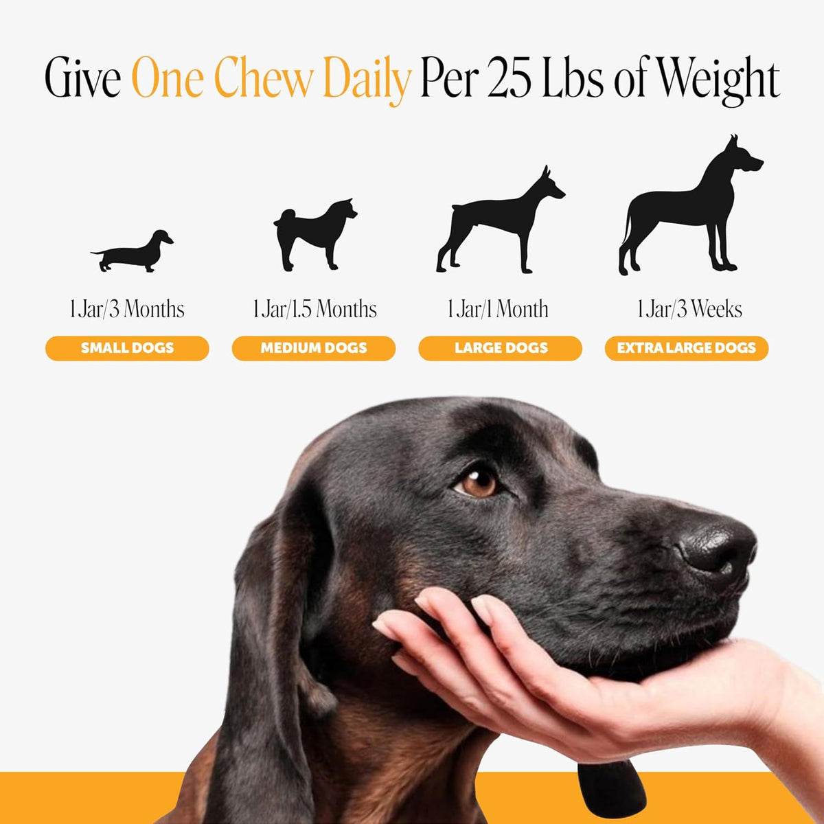PetHonesty Allergy Relief & Immunity Soft Chews for Dogs with Salmon Oil