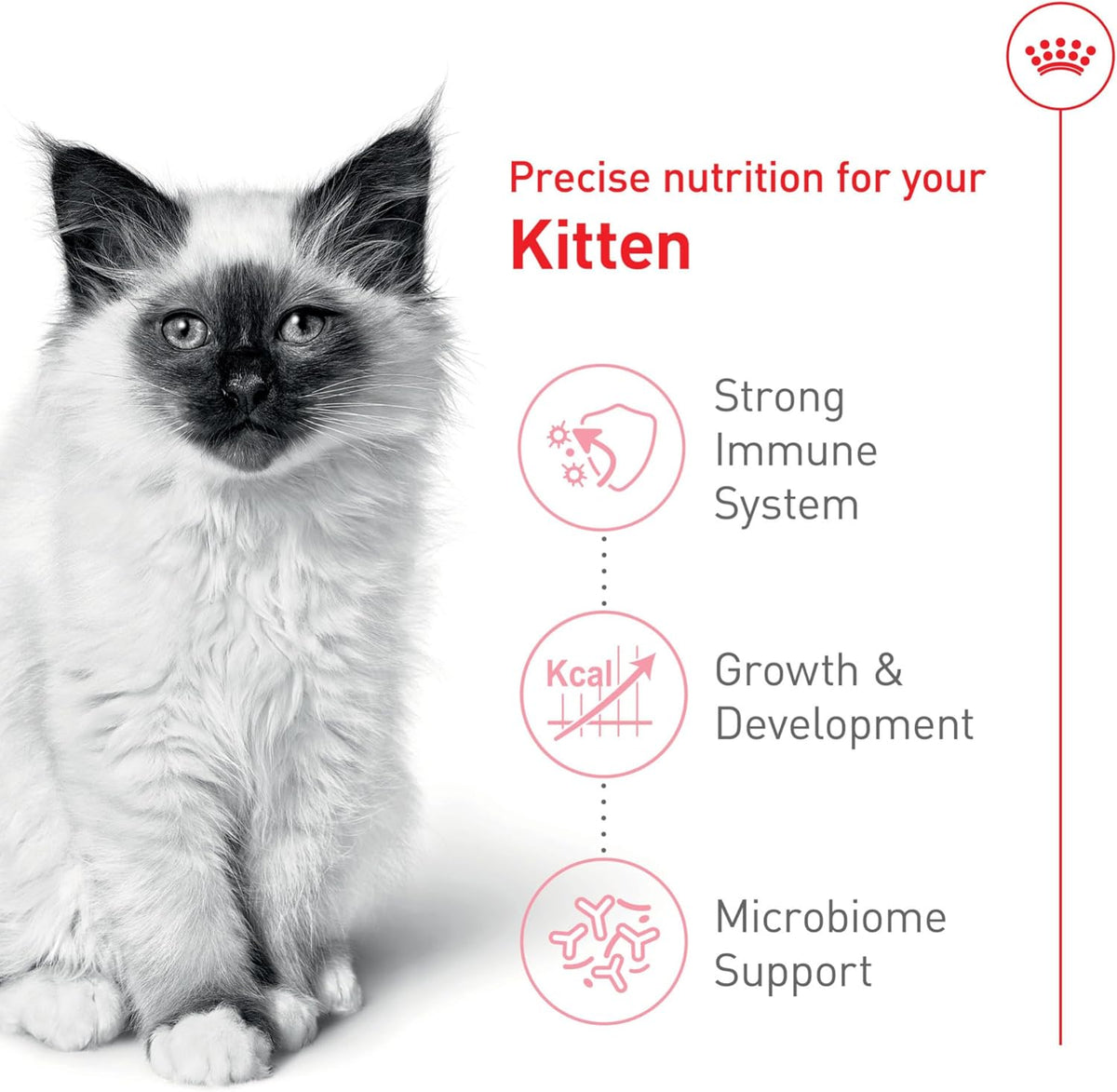 Royal Canin Kitten Dry Cat Food with Salmon Oil 1.35kg | Healthy Growth