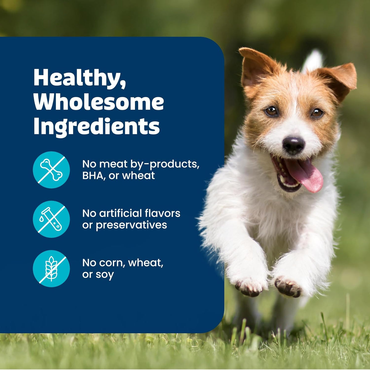 Blue Buffalo Health Bars Apples & Yogurt Mini Dog Biscuits 16 oz