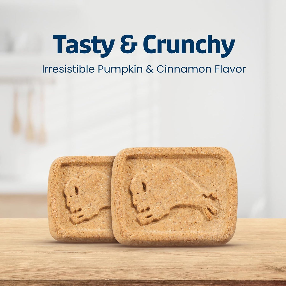 Blue Buffalo Health Bars Pumpkin & Cinnamon Oven-Baked Dog Biscuits 16 oz