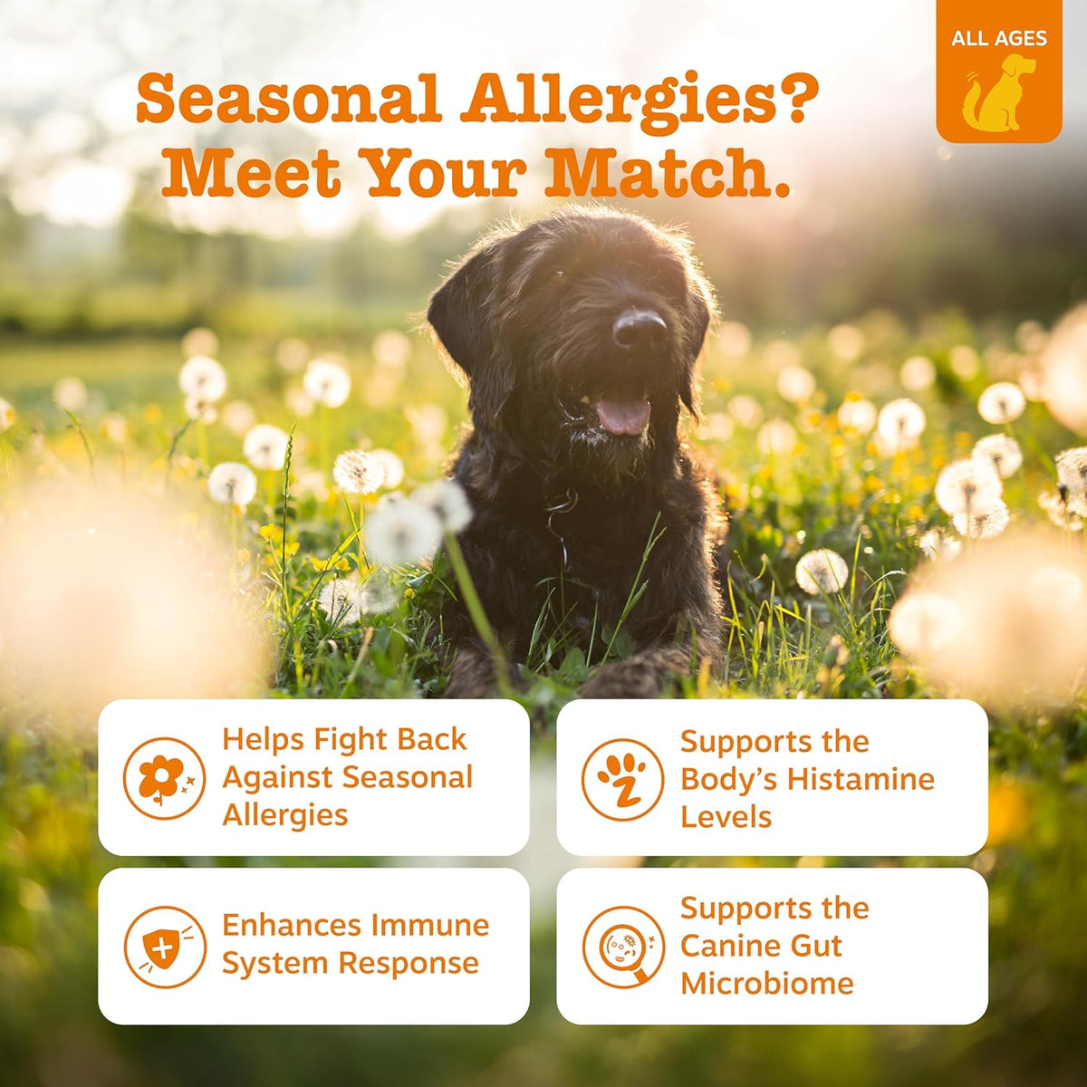 Zesty Paws Aller-Immune Bites Lamb 90 Chews for Dogs
