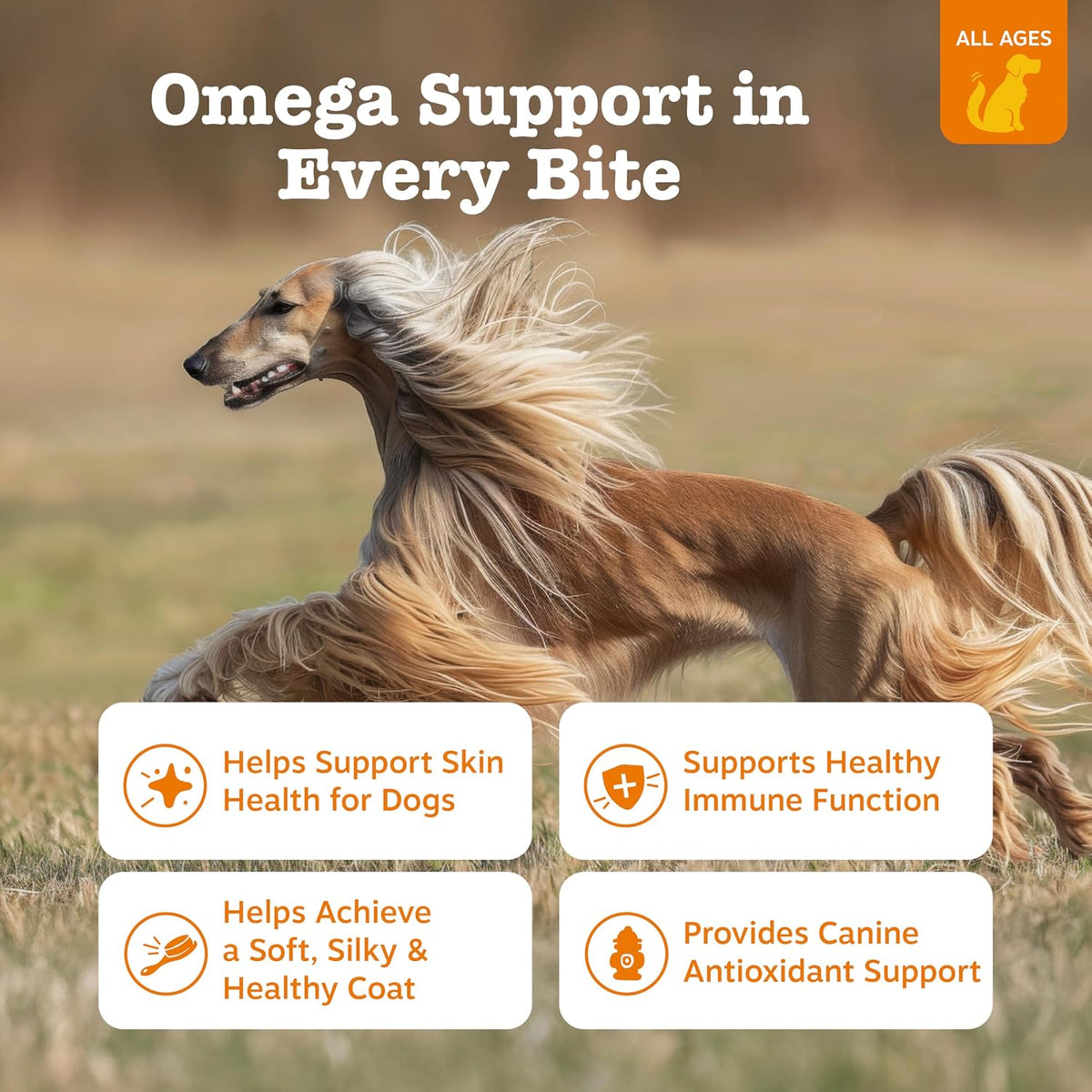 Petsupplies.ae Zesty Paws Omega Bites Chicken 90 Count