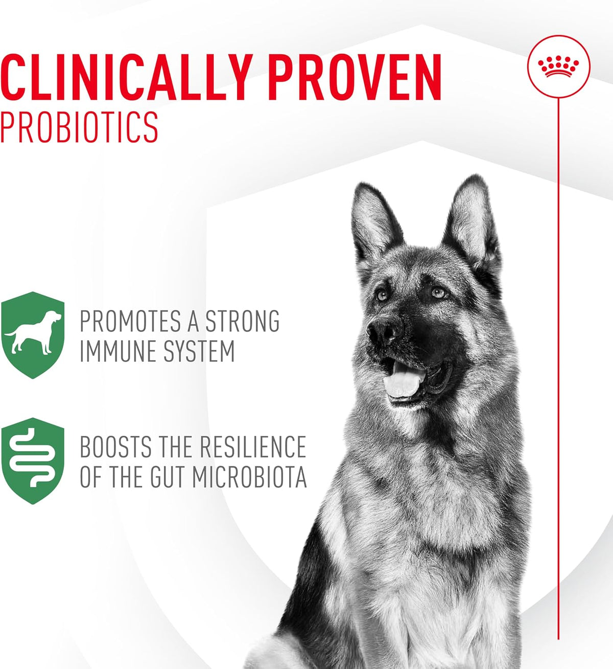 Royal Canin Probiotics for Dogs Digestive & Immune Health Powder Supplement 30 Count