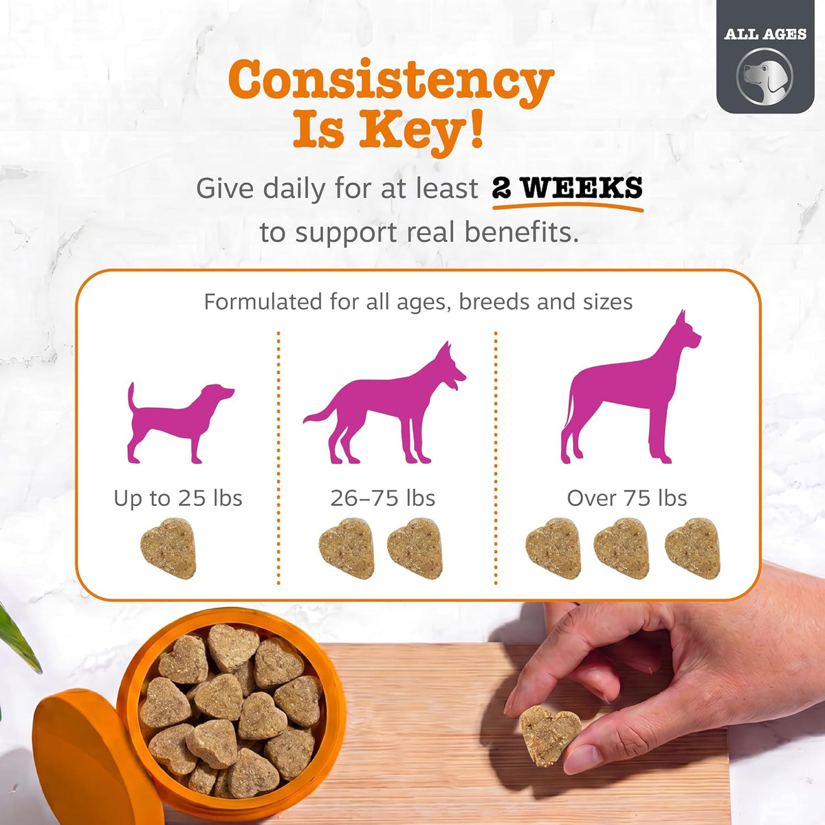 Best dog joint supplement UAE