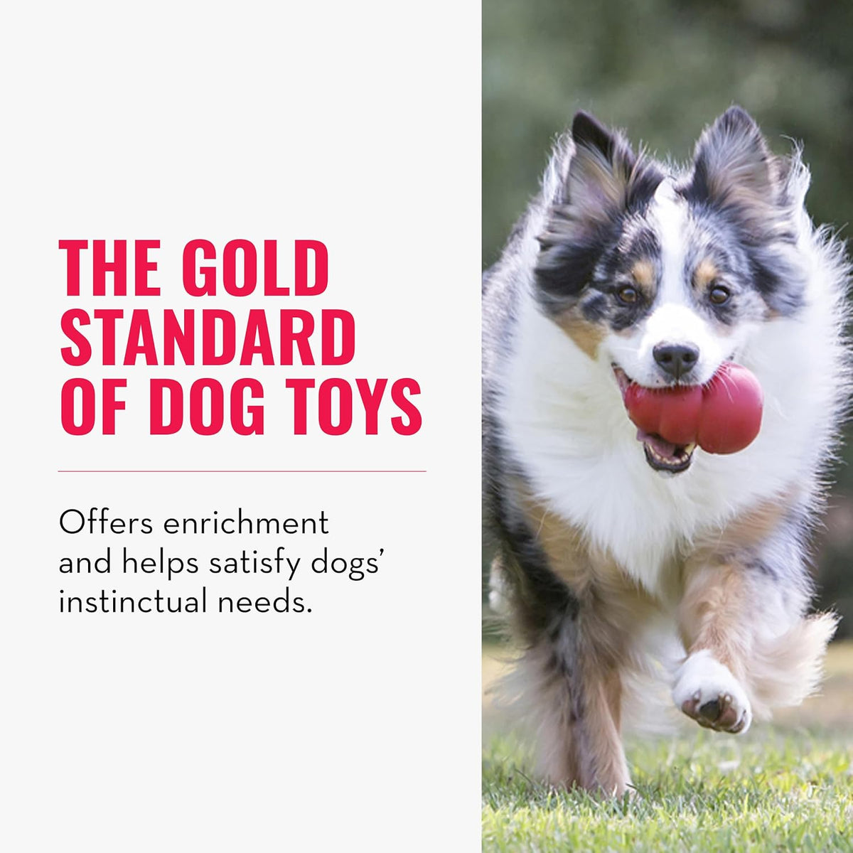 KONG Classic Large Dog Toy – Durable Natural Rubber Chew for large Dog