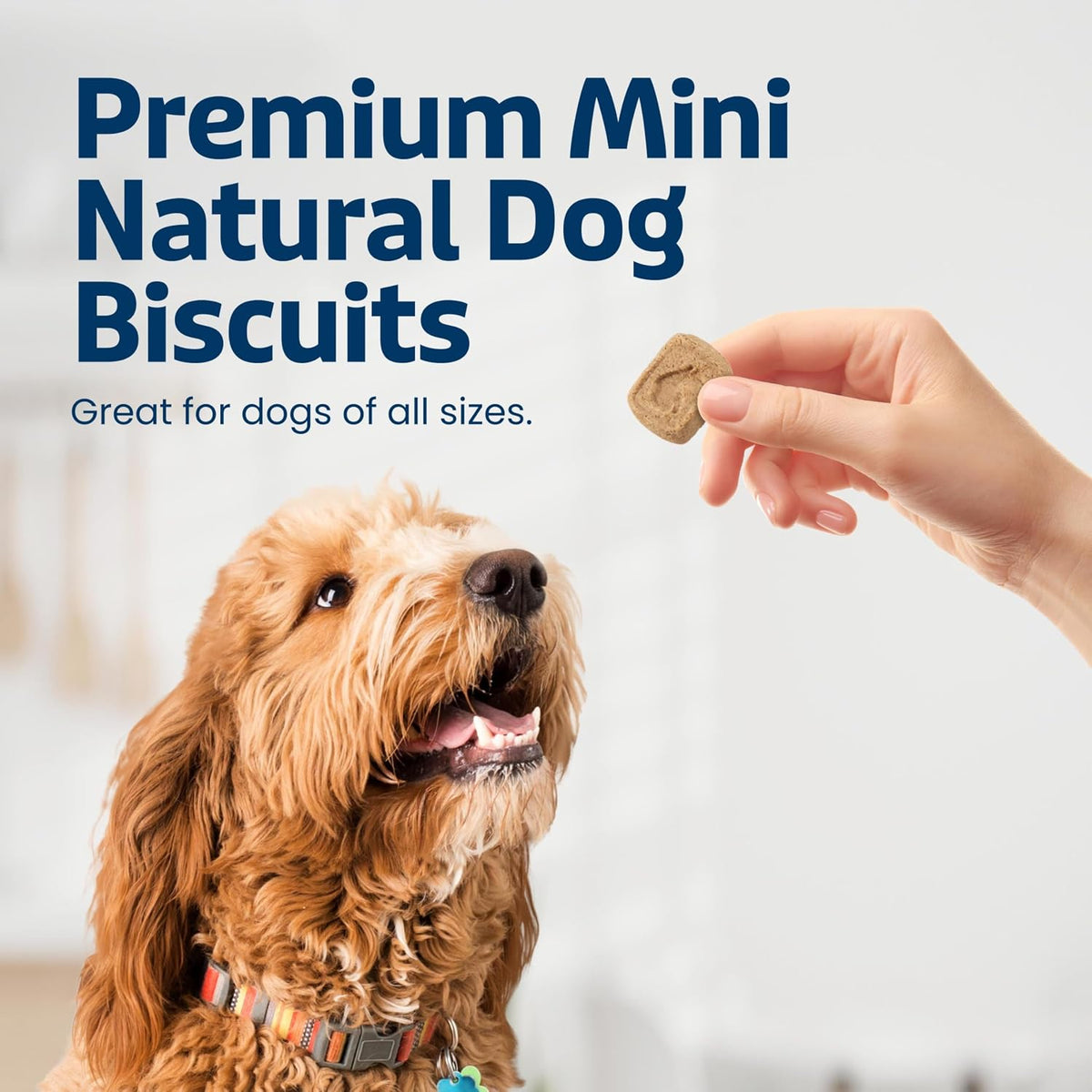 Blue Buffalo Health Bars Apples & Yogurt Mini Dog Biscuits 16 oz