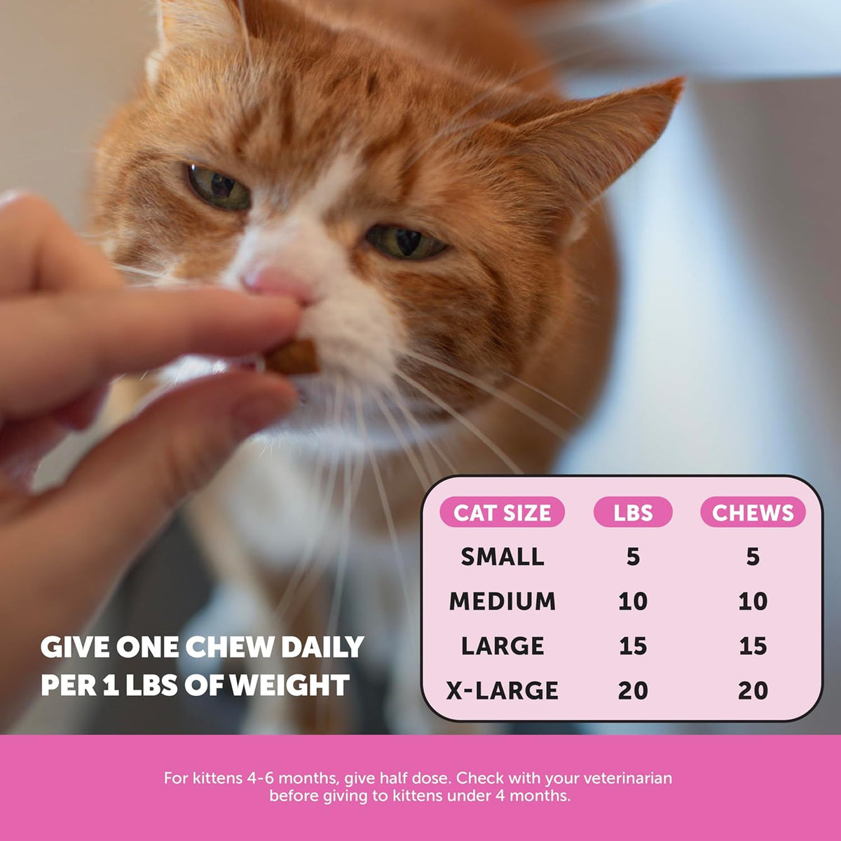 Pet Honesty Cat "Multivitamin Crunchy & Creamy" Chews with Omega 3