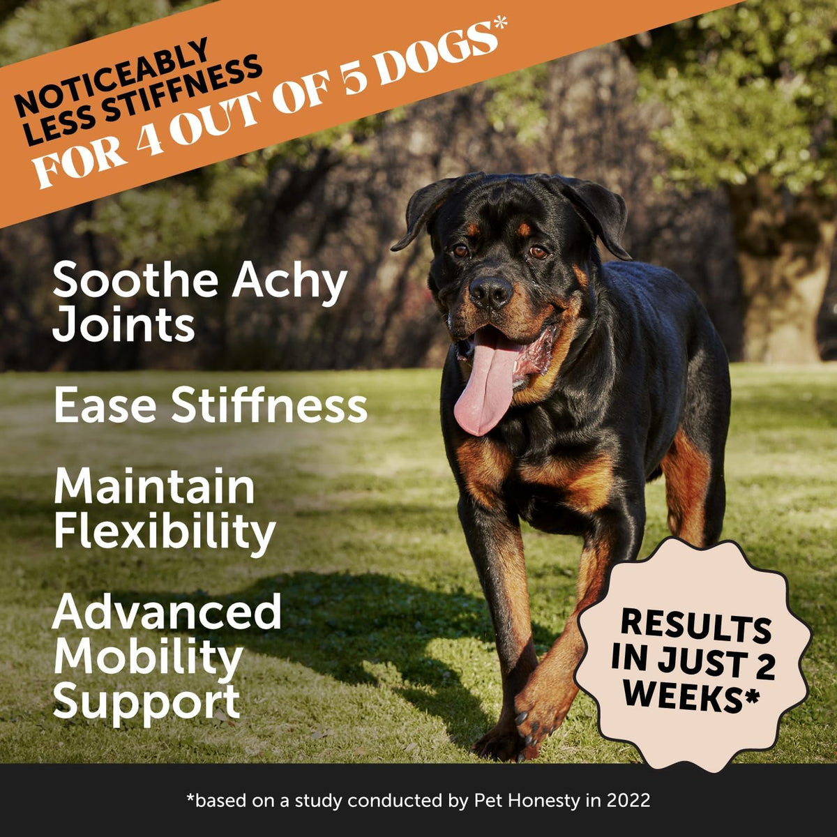 Pet Honesty Glucosamine Hip & Joint Health Max Strength Dog Chews 90 count