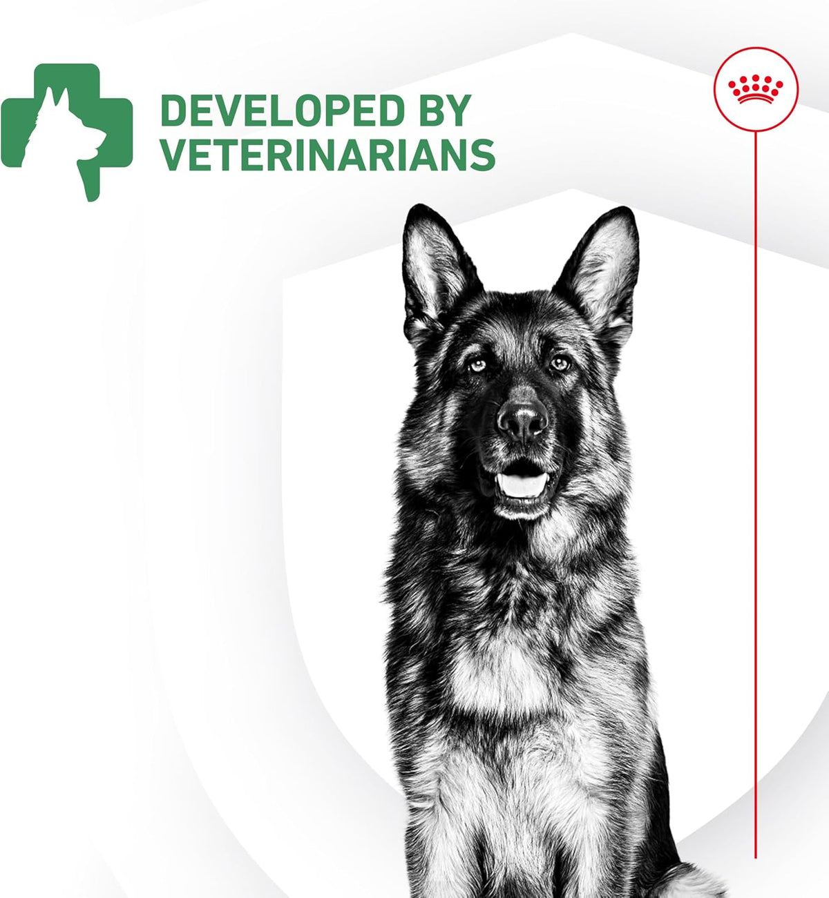Royal Canin Probiotics for Dogs Digestive & Immune Health Powder Supplement 30 Count