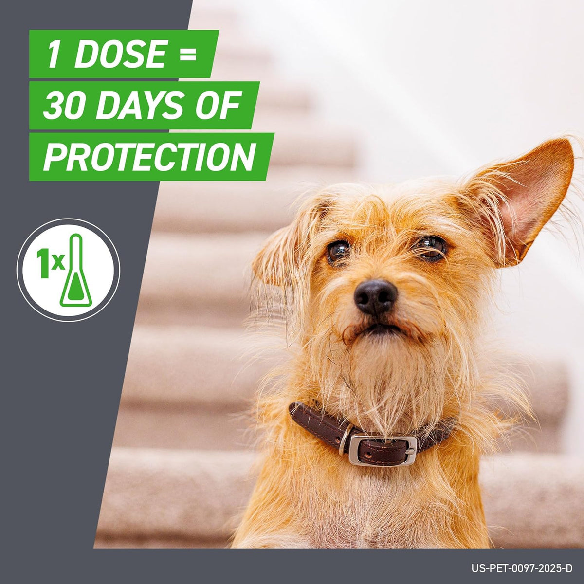 Frontline Plus Flea & Tick Treatment for Medium Dogs (23–44 lbs) 3 Doses