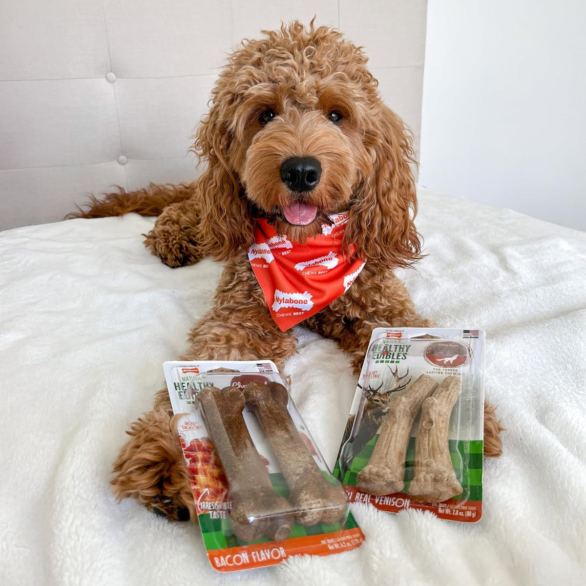 Nylabone Healthy Edibles Natural Venison Dog Treats Medium 10 Count