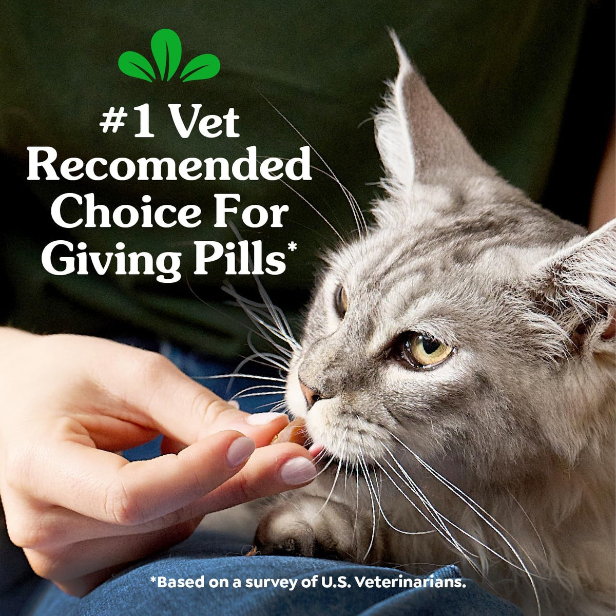 Greenies Pill Pockets for Dogs Capsule Size Peanut Butter 60 Count
