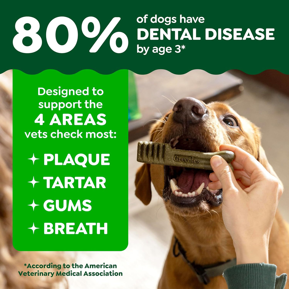 GREENIES Original Petite Natural small Dog Dental Care Treats 36 oz 60 count