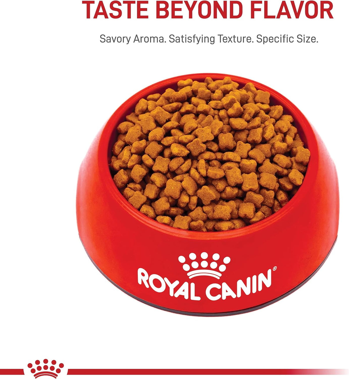 Royal Canin Kitten Dry Cat Food with Salmon Oil 1.35kg | Healthy Growth